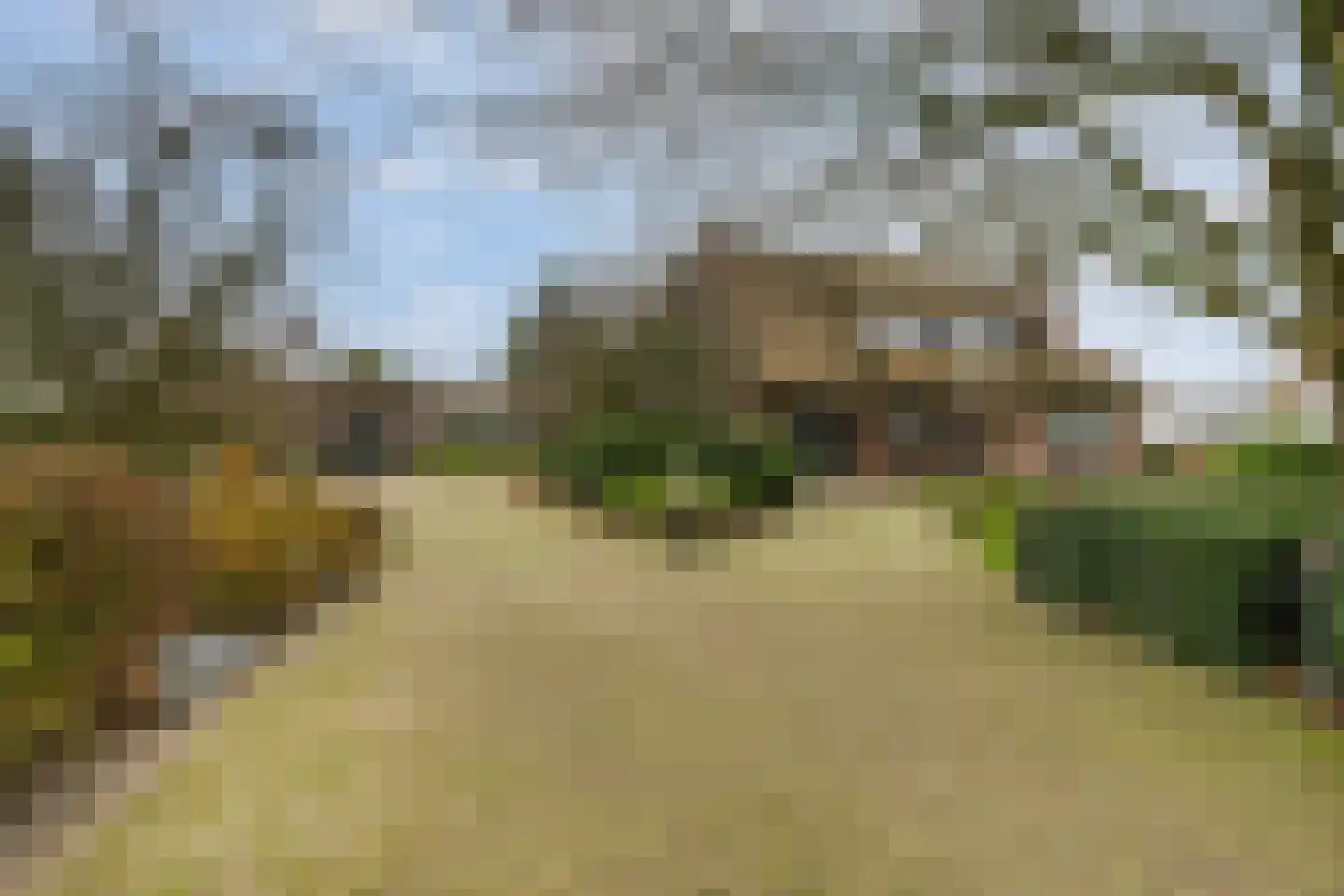 Korte Kruisweg 167 Maasdijk foto 3