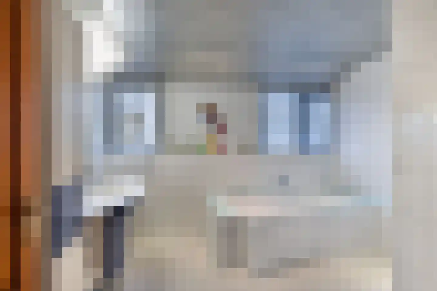 Korte Kruisweg 167 Maasdijk thumbnail 31