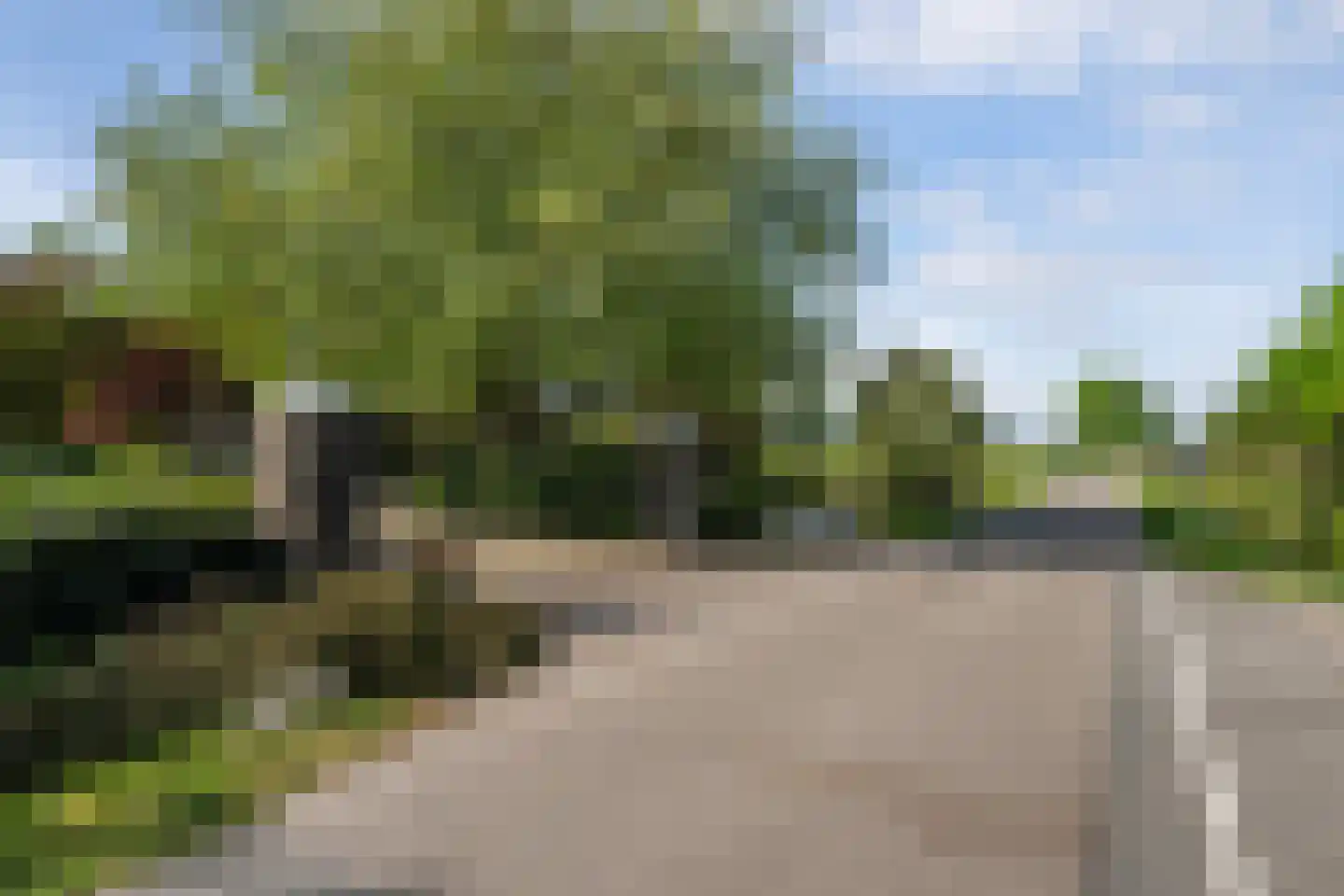 Korte Kruisweg 167 Maasdijk thumbnail 4