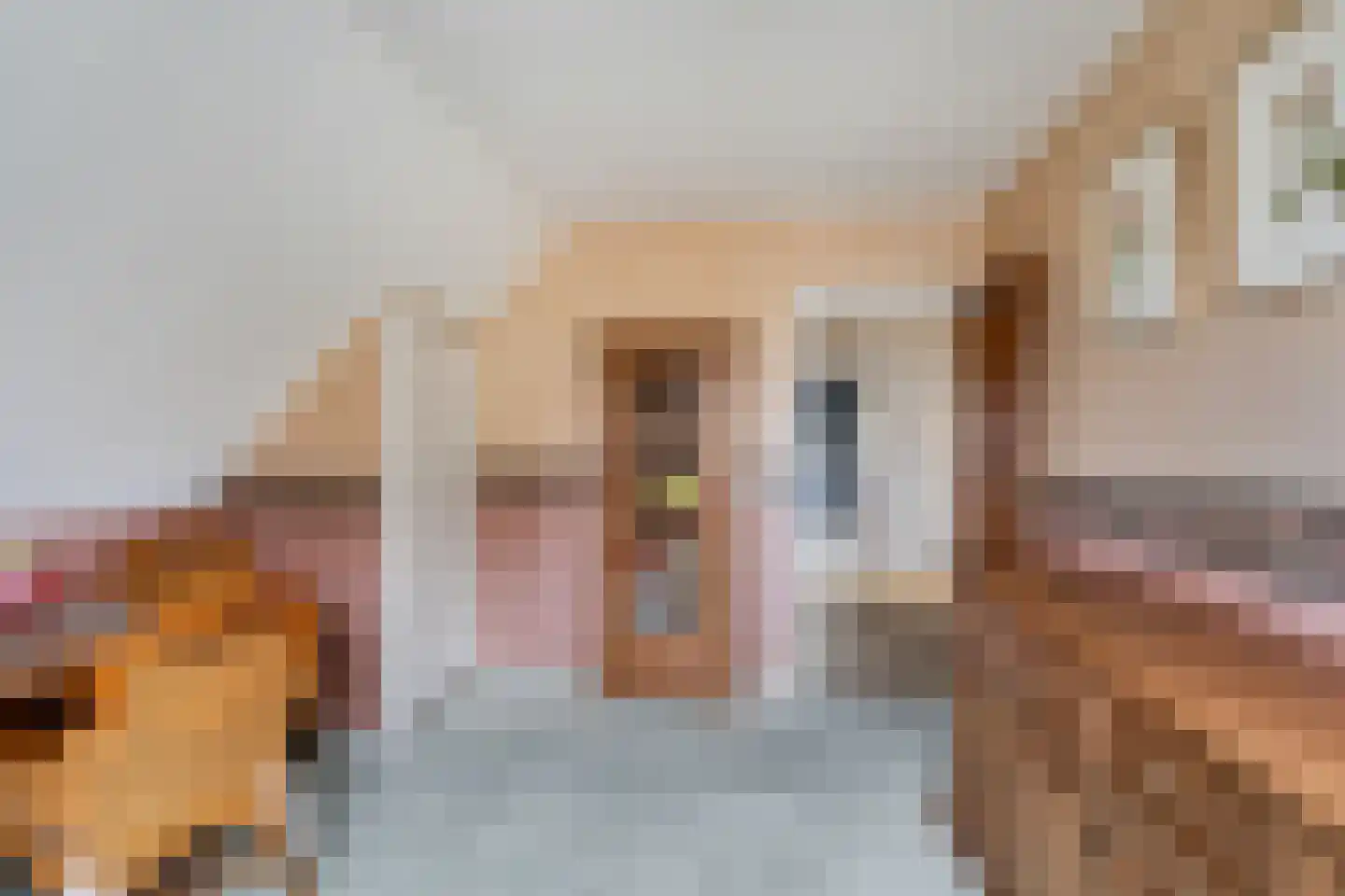 Korte Kruisweg 167 Maasdijk thumbnail 41