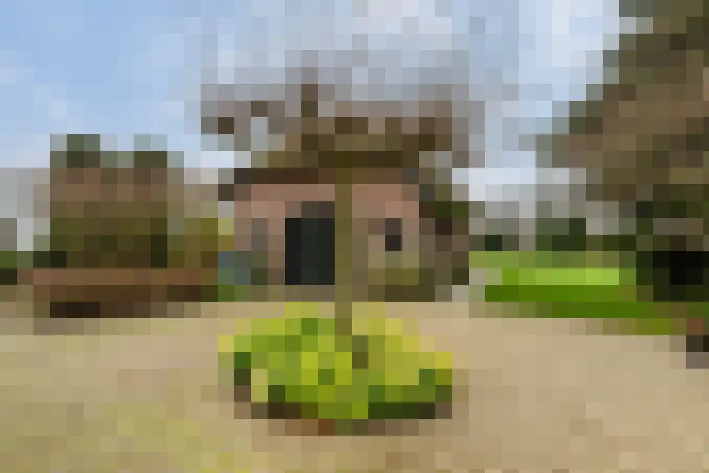 Korte Kruisweg 167 Maasdijk thumbnail 44
