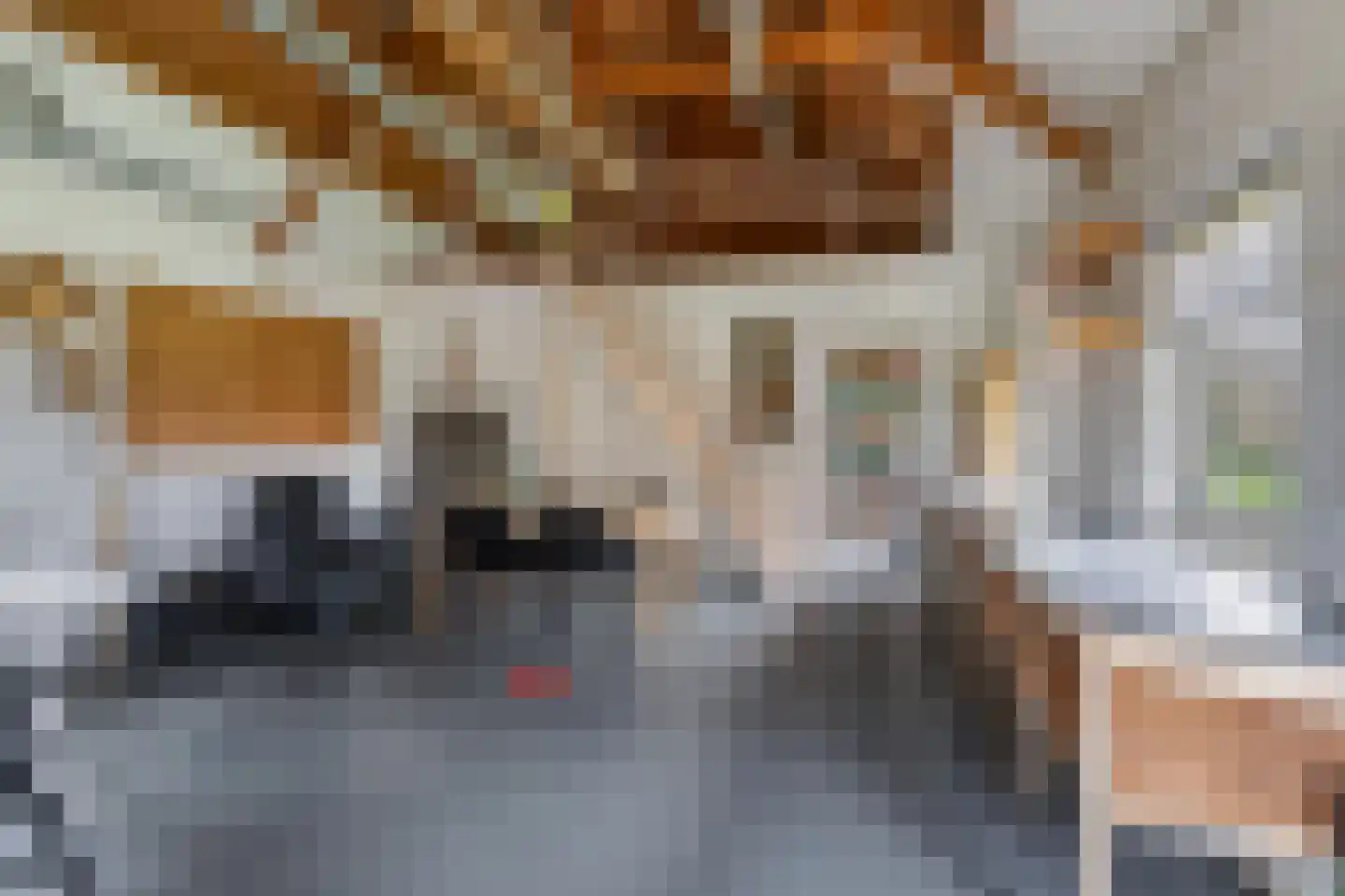 Korte Kruisweg 167 Maasdijk thumbnail 46