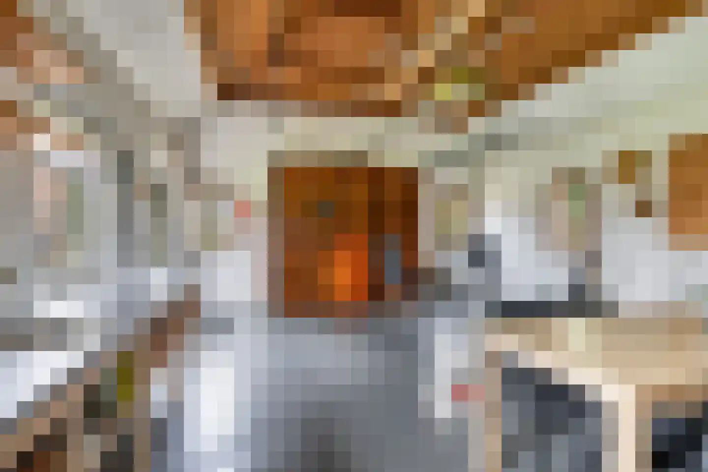Korte Kruisweg 167 Maasdijk thumbnail 48