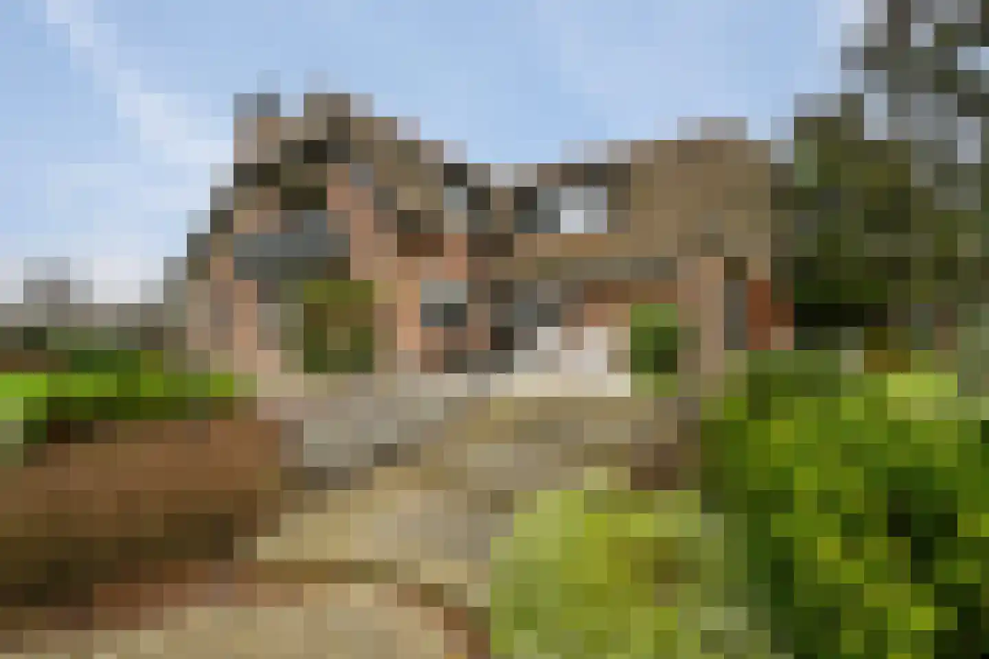 Korte Kruisweg 167 Maasdijk thumbnail 50