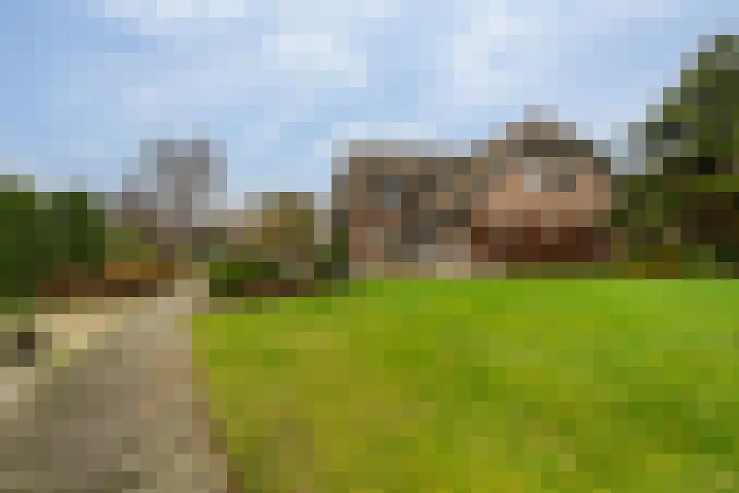 Korte Kruisweg 167 Maasdijk thumbnail 52