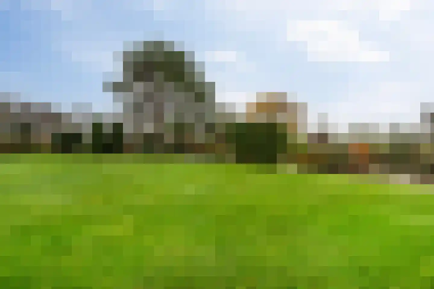 Korte Kruisweg 167 Maasdijk thumbnail 53