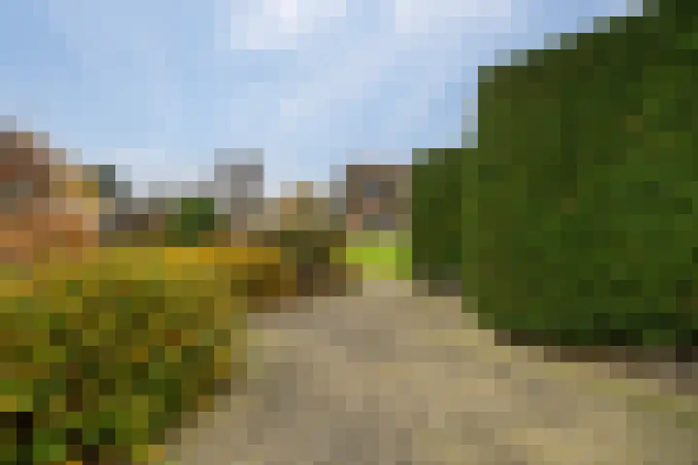 Korte Kruisweg 167 Maasdijk thumbnail 55