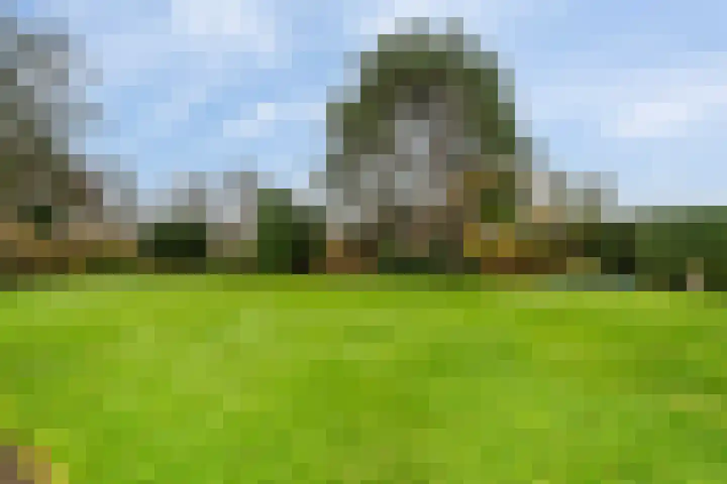 Korte Kruisweg 167 Maasdijk thumbnail 56