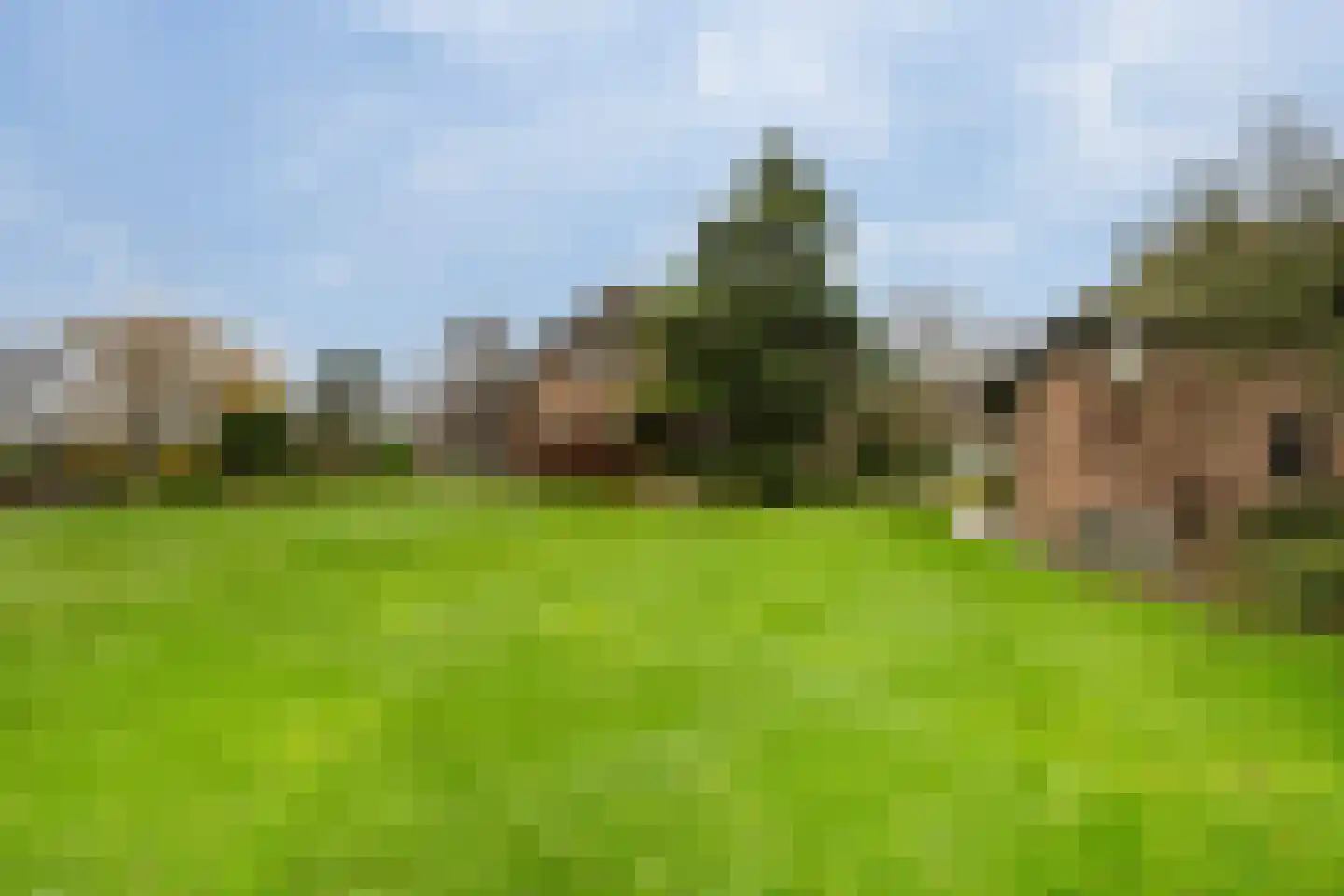 Korte Kruisweg 167 Maasdijk thumbnail 57