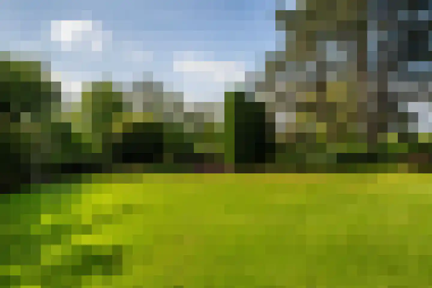 Korte Kruisweg 167 Maasdijk thumbnail 58