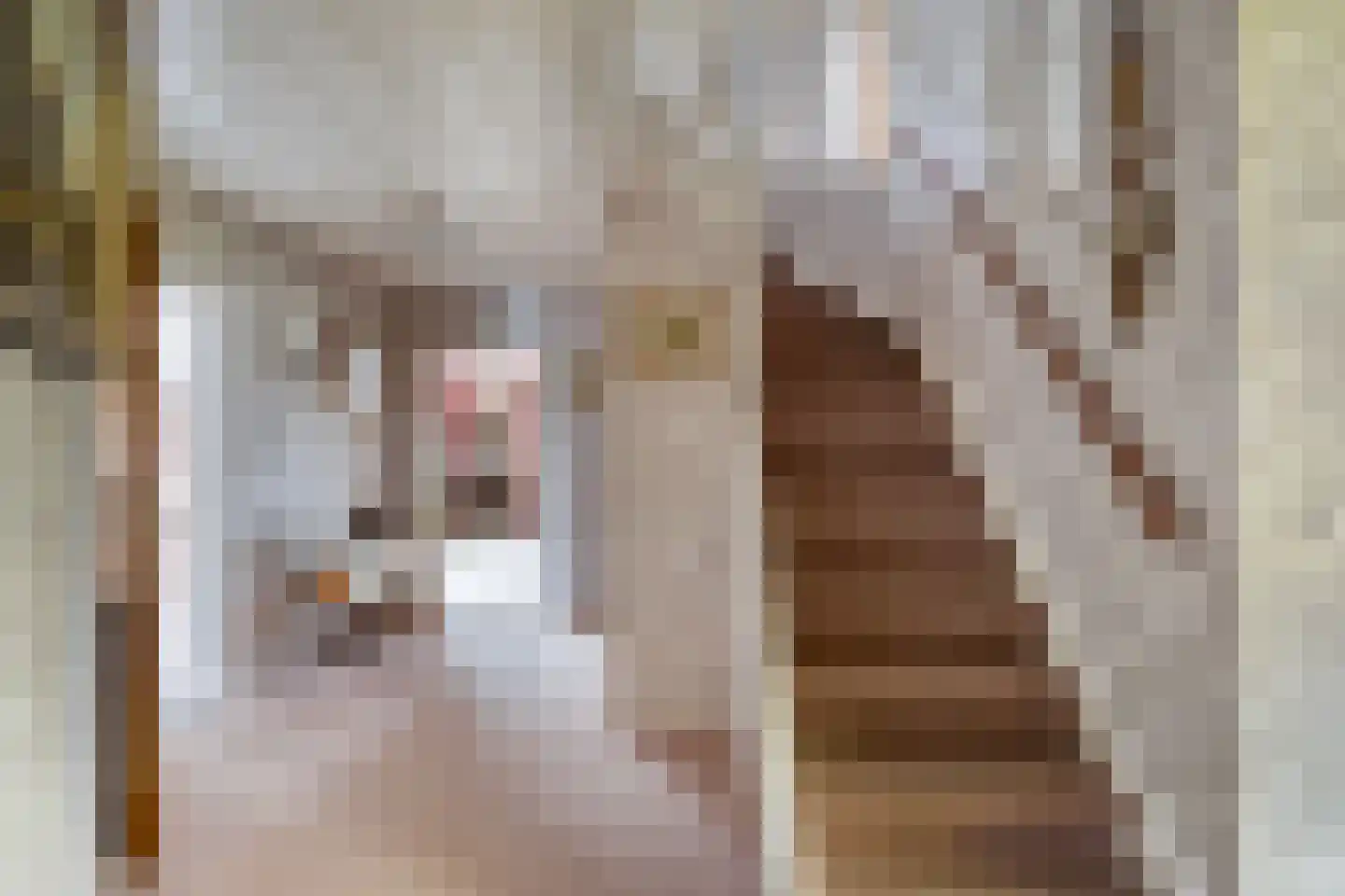 Korte Kruisweg 167 Maasdijk thumbnail 6