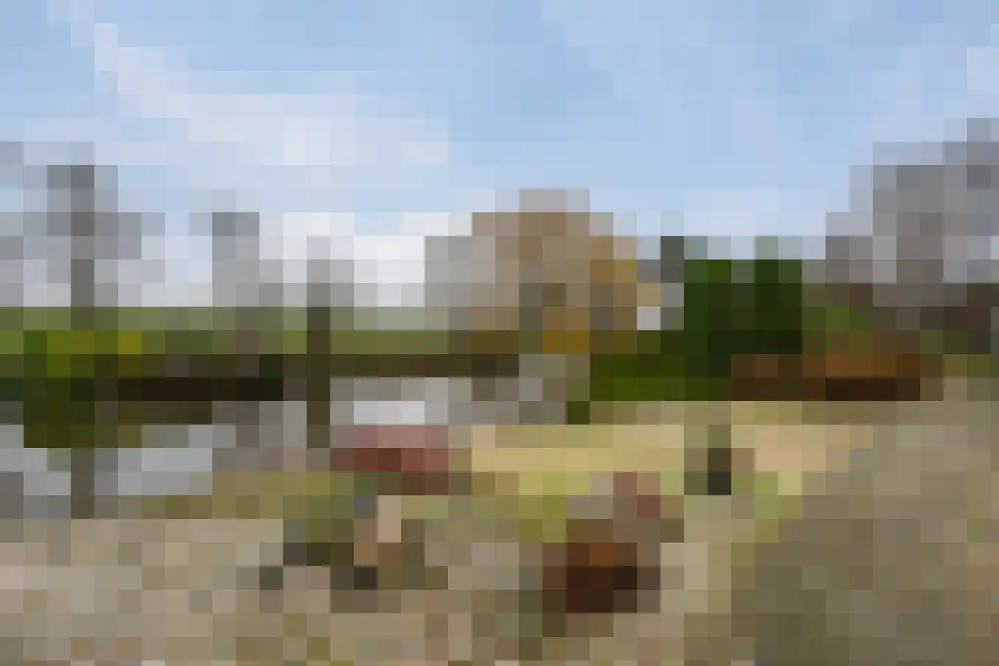 Korte Kruisweg 167 Maasdijk thumbnail 60