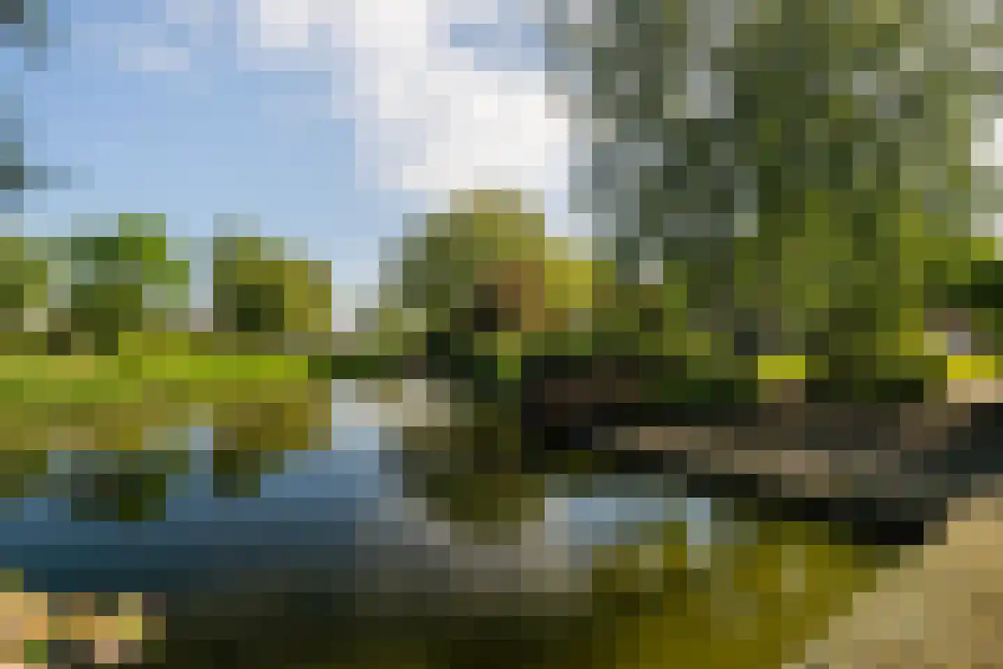 Korte Kruisweg 167 Maasdijk thumbnail 60