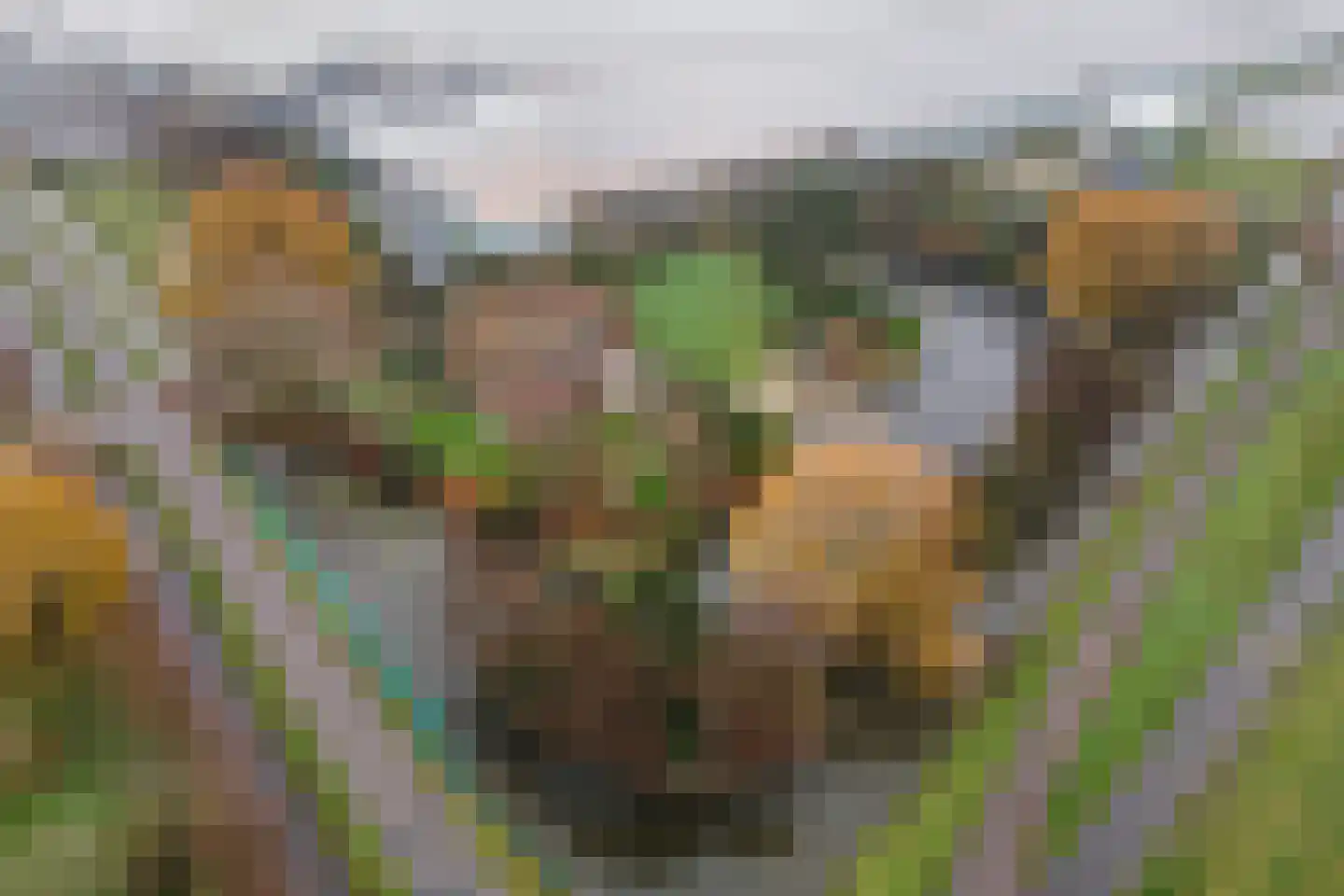 Korte Kruisweg 167 Maasdijk thumbnail 61