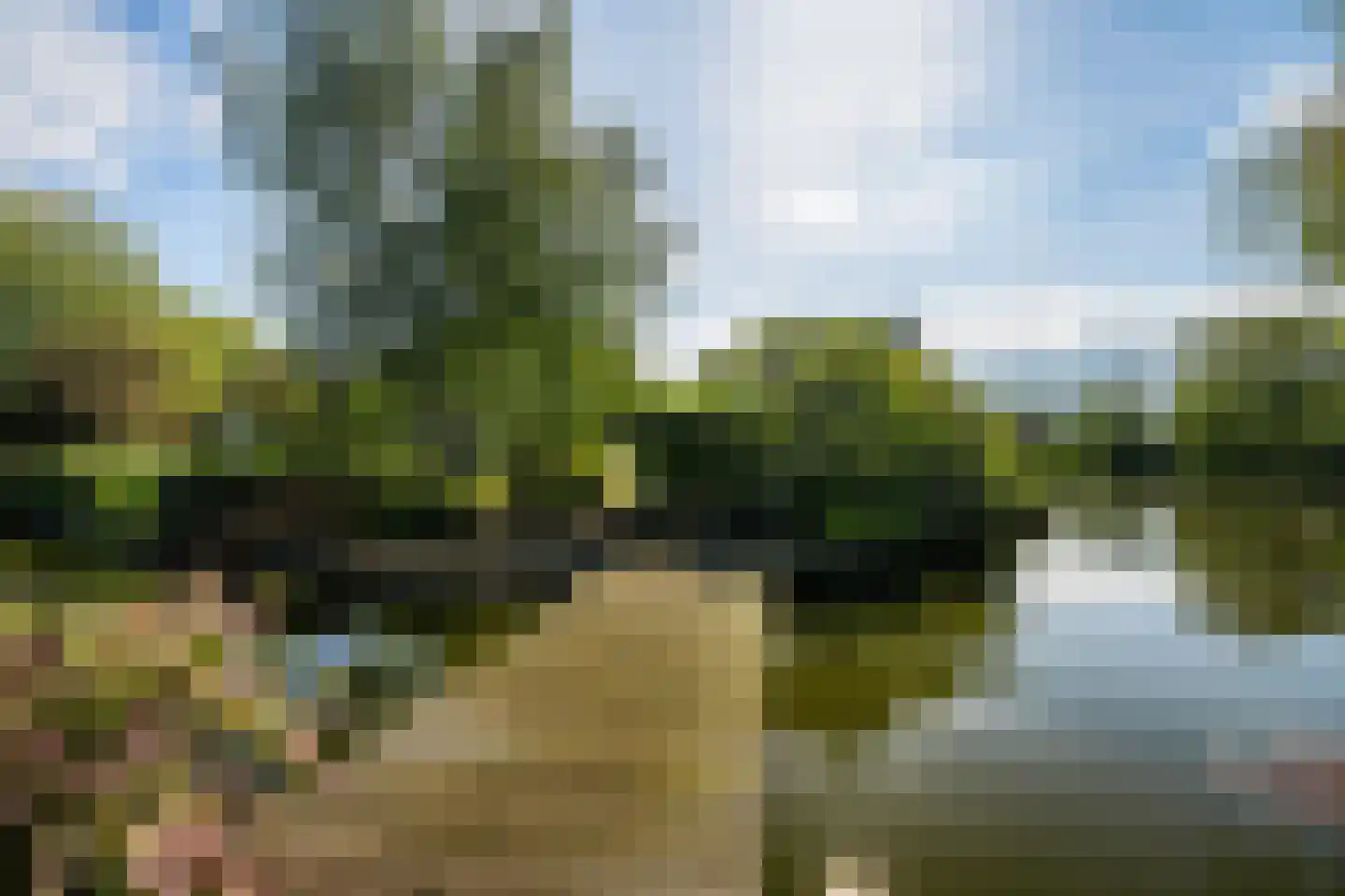 Korte Kruisweg 167 Maasdijk thumbnail 61