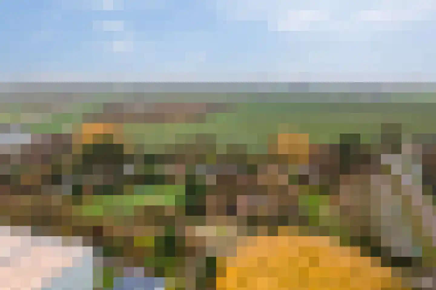Korte Kruisweg 167 Maasdijk thumbnail 62