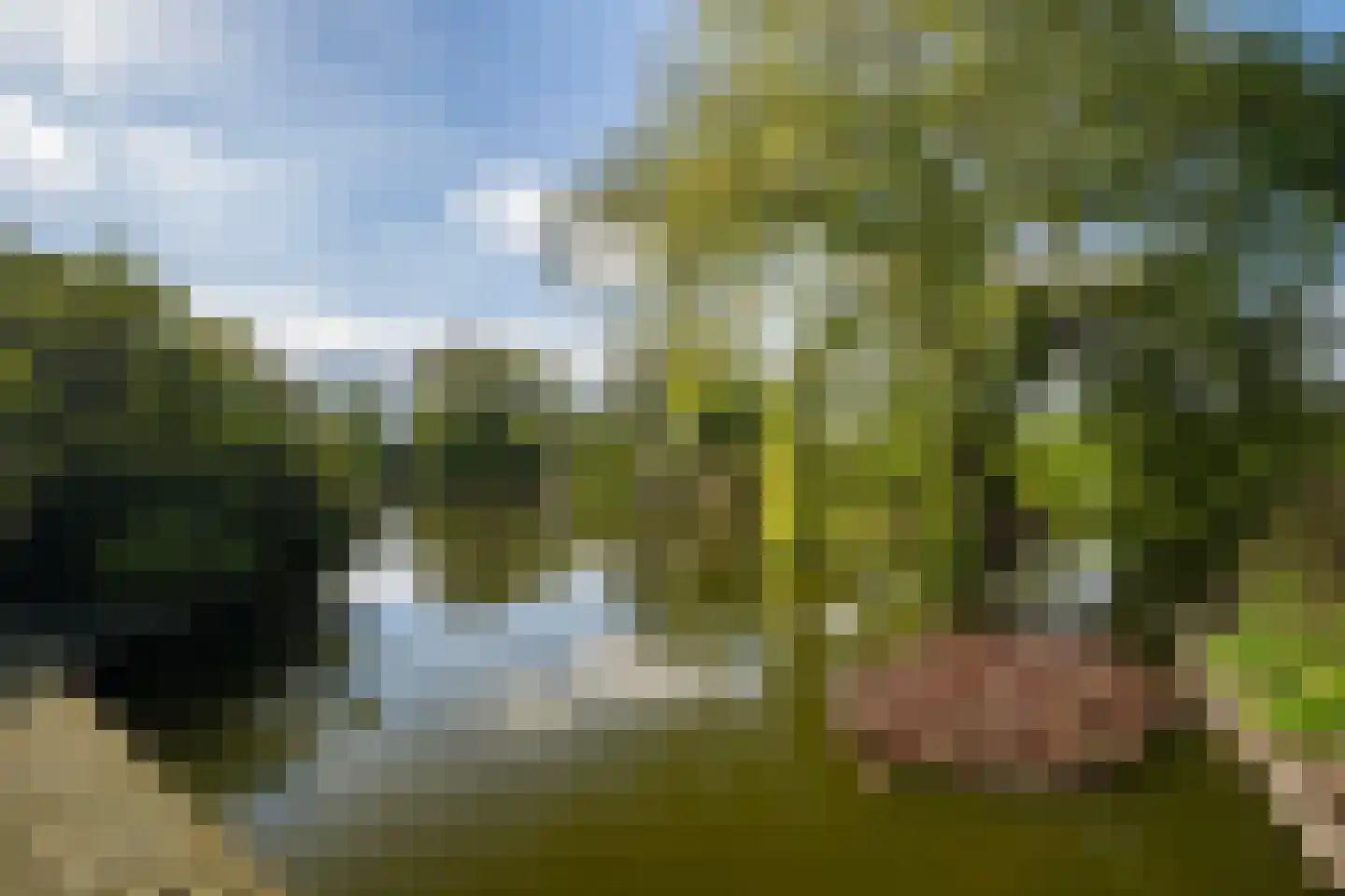Korte Kruisweg 167 Maasdijk thumbnail 62