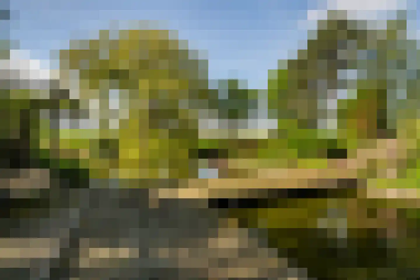 Korte Kruisweg 167 Maasdijk thumbnail 64
