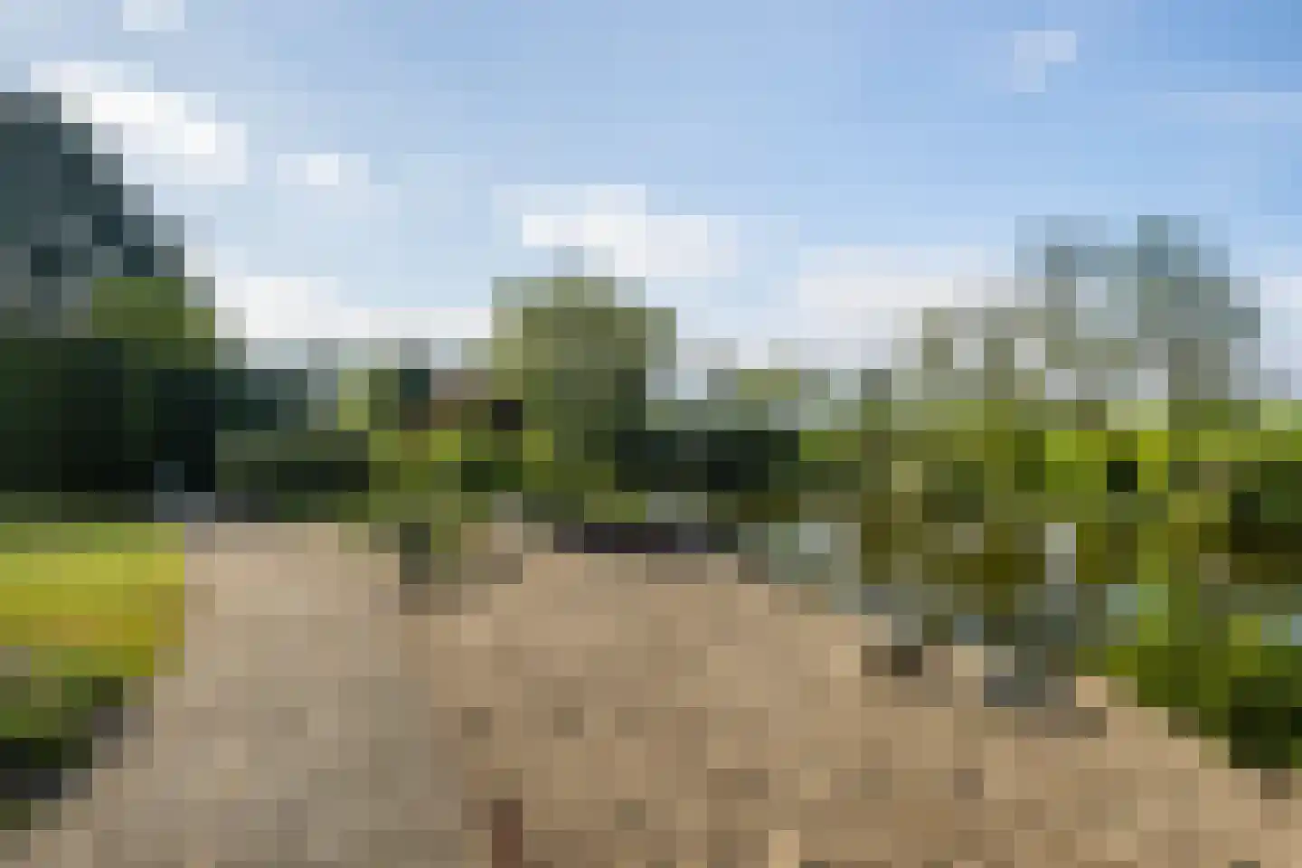 Korte Kruisweg 167 Maasdijk thumbnail 66