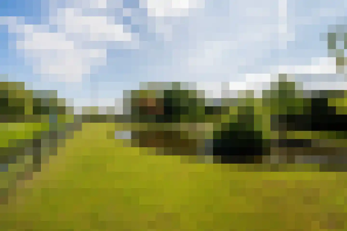 Korte Kruisweg 167 Maasdijk thumbnail 67