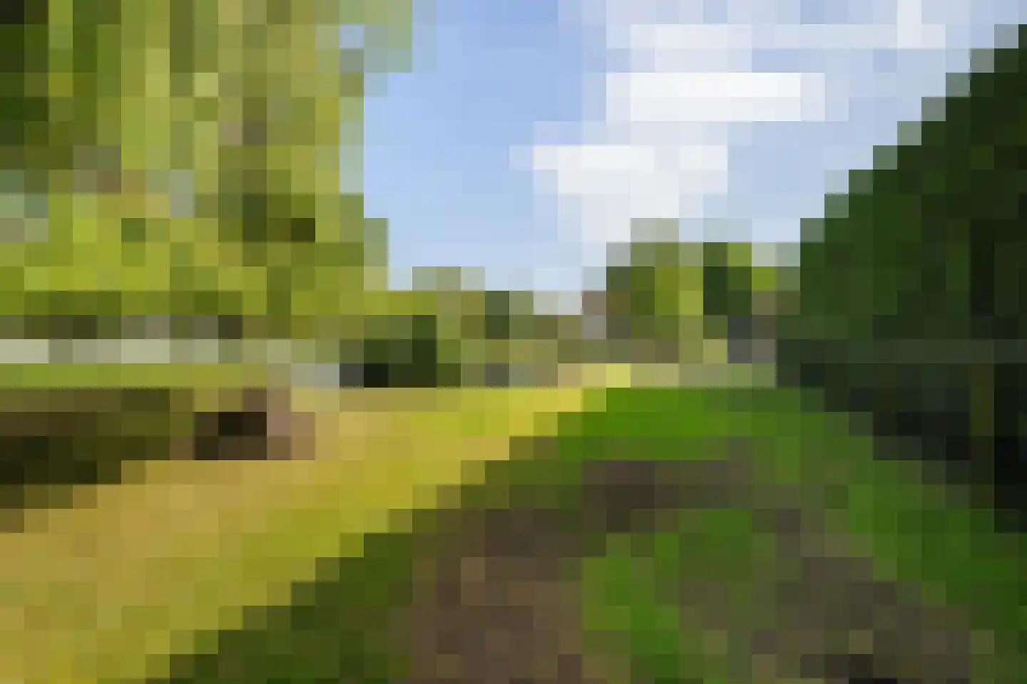 Korte Kruisweg 167 Maasdijk thumbnail 68