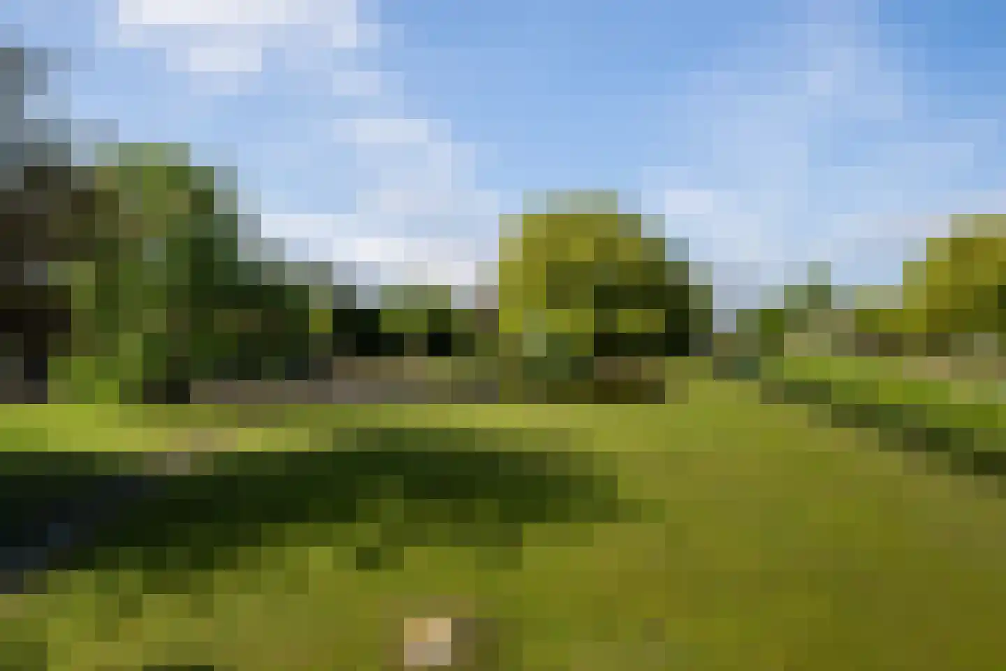 Korte Kruisweg 167 Maasdijk thumbnail 70