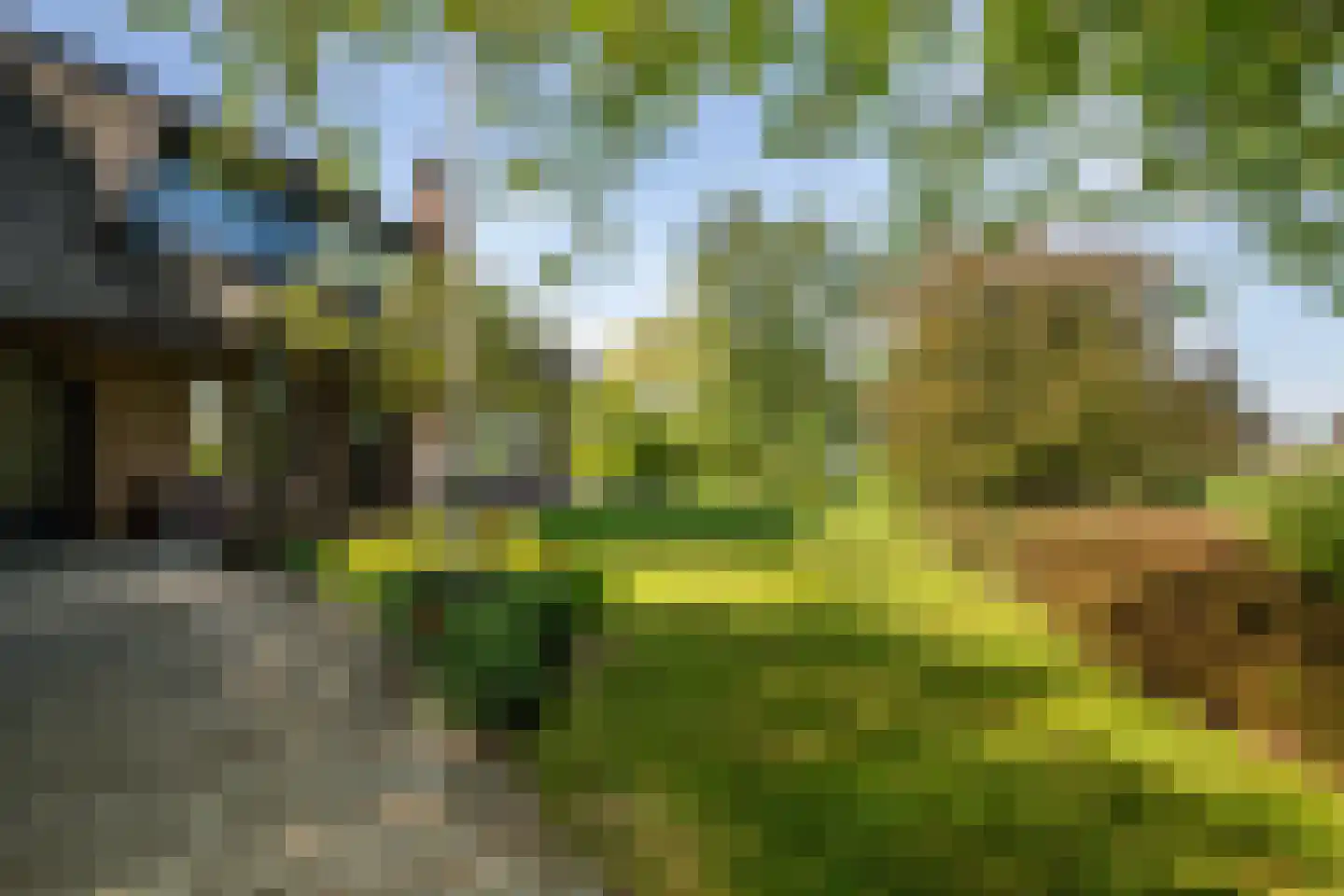 Korte Kruisweg 167 Maasdijk thumbnail 71