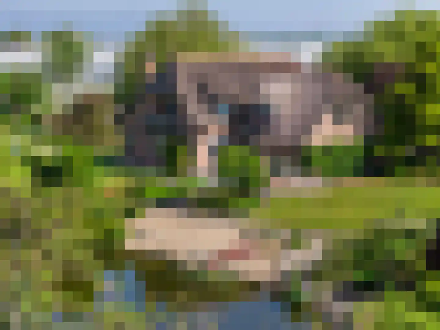 Korte Kruisweg 167 Maasdijk thumbnail 76