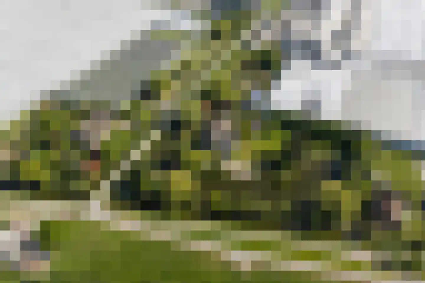 Korte Kruisweg 167 Maasdijk thumbnail 77