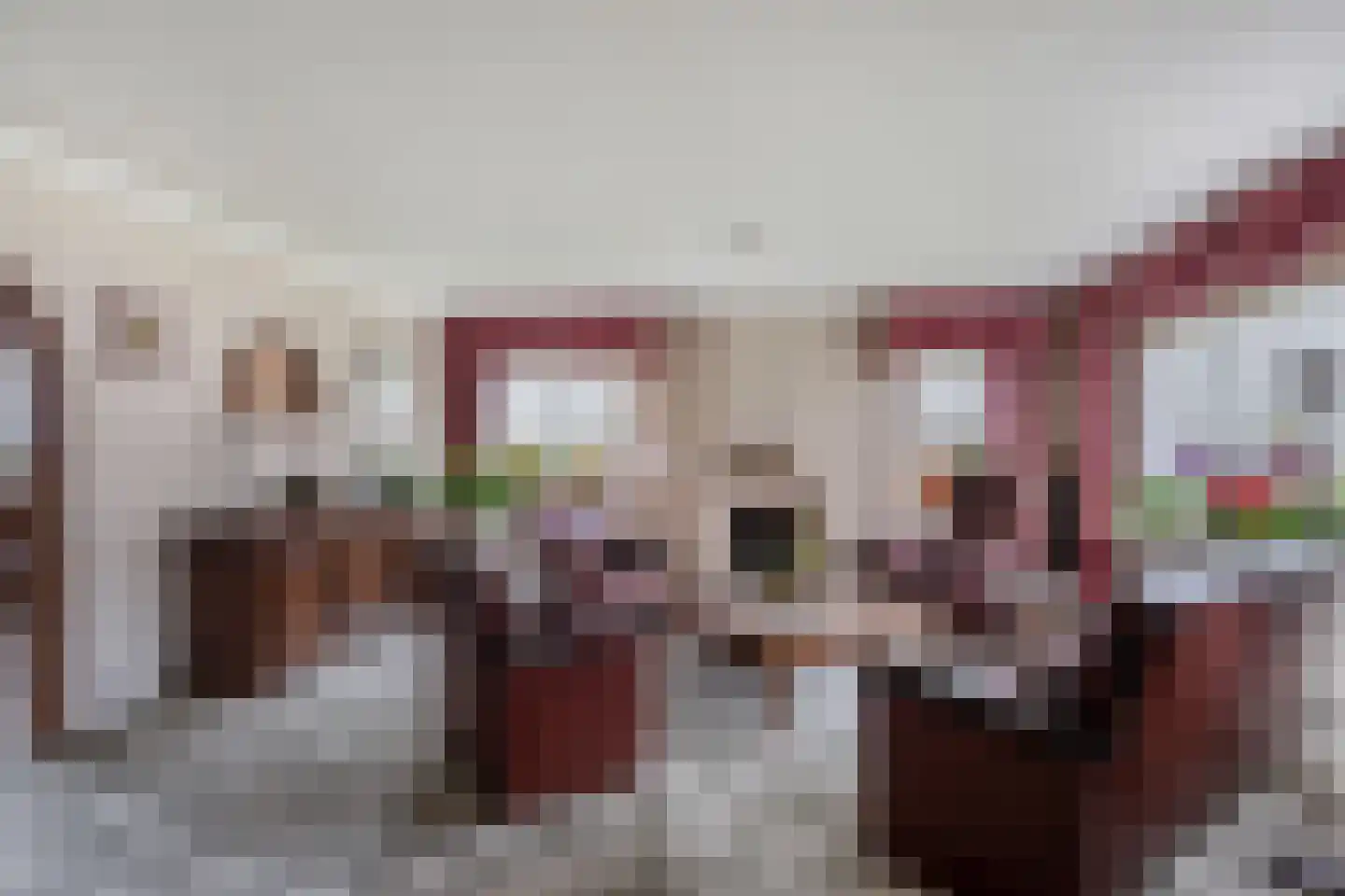 Korte Kruisweg 167 Maasdijk thumbnail 8