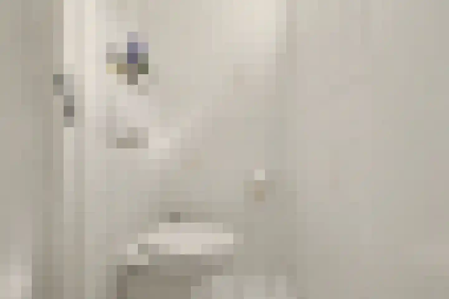 Korte Kruisweg 18 Maasdijk thumbnail 13