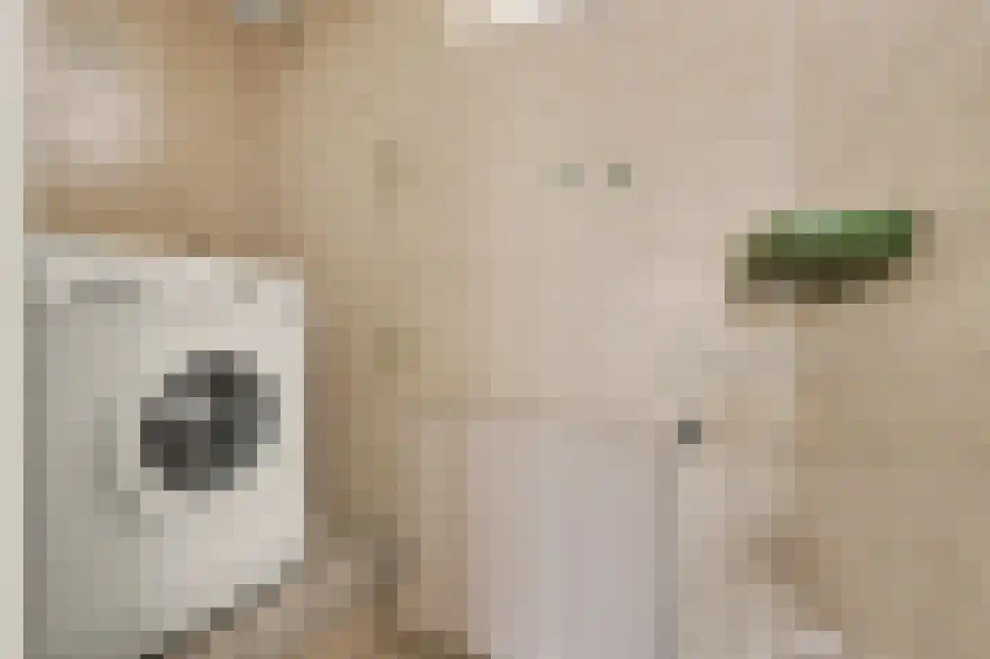 Korte Kruisweg 18 Maasdijk thumbnail 18