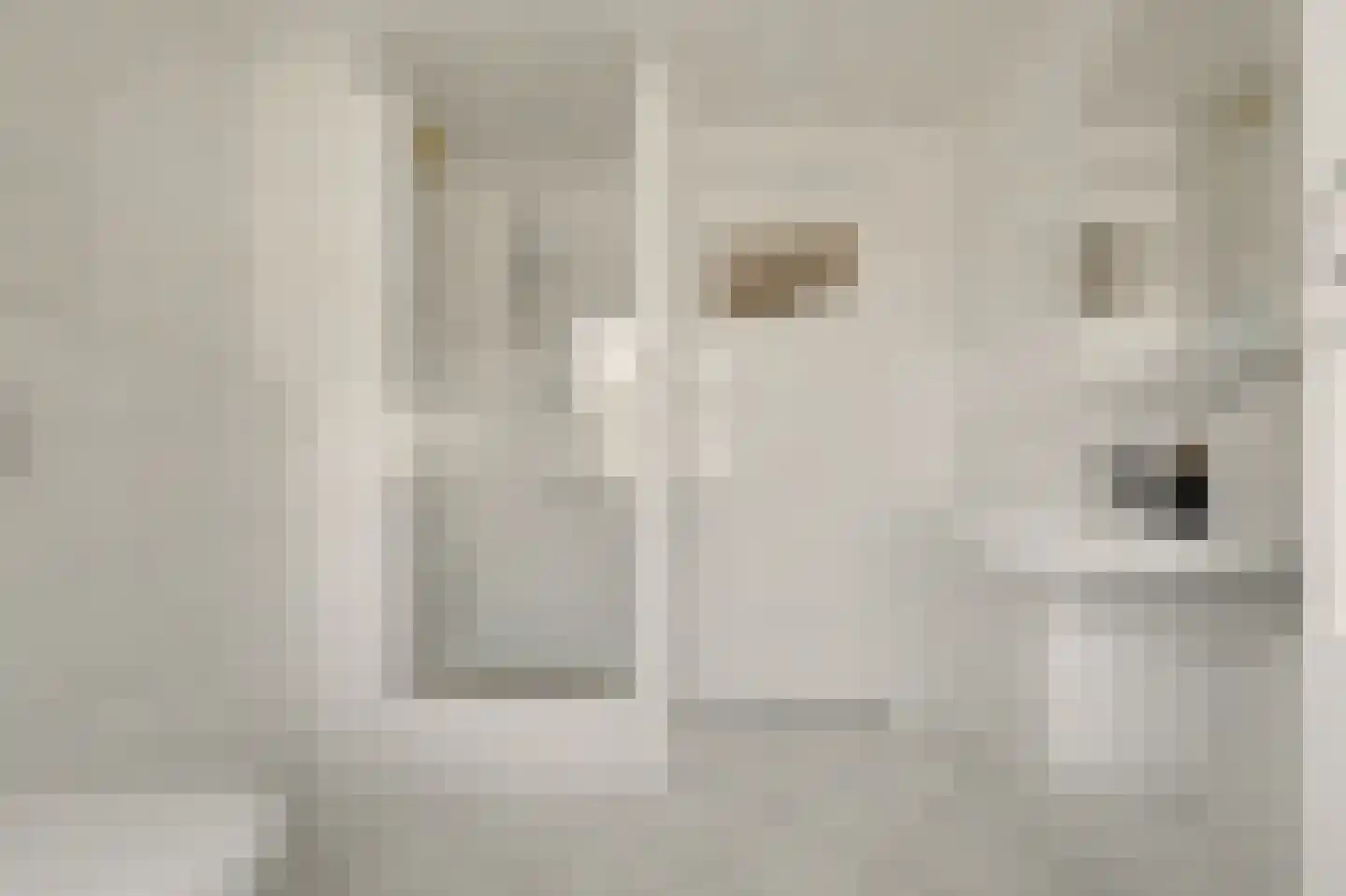 Korte Kruisweg 18 Maasdijk thumbnail 21
