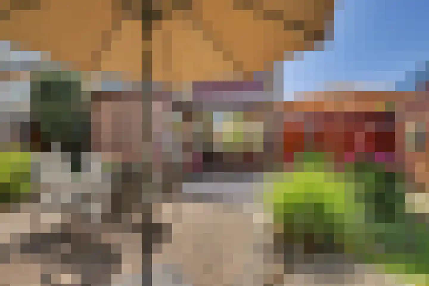 Korte Kruisweg 18 Maasdijk thumbnail 28