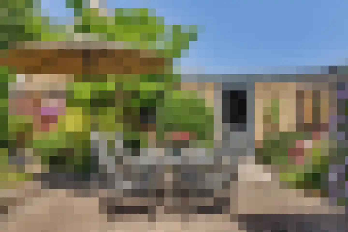 Korte Kruisweg 18 Maasdijk thumbnail 29
