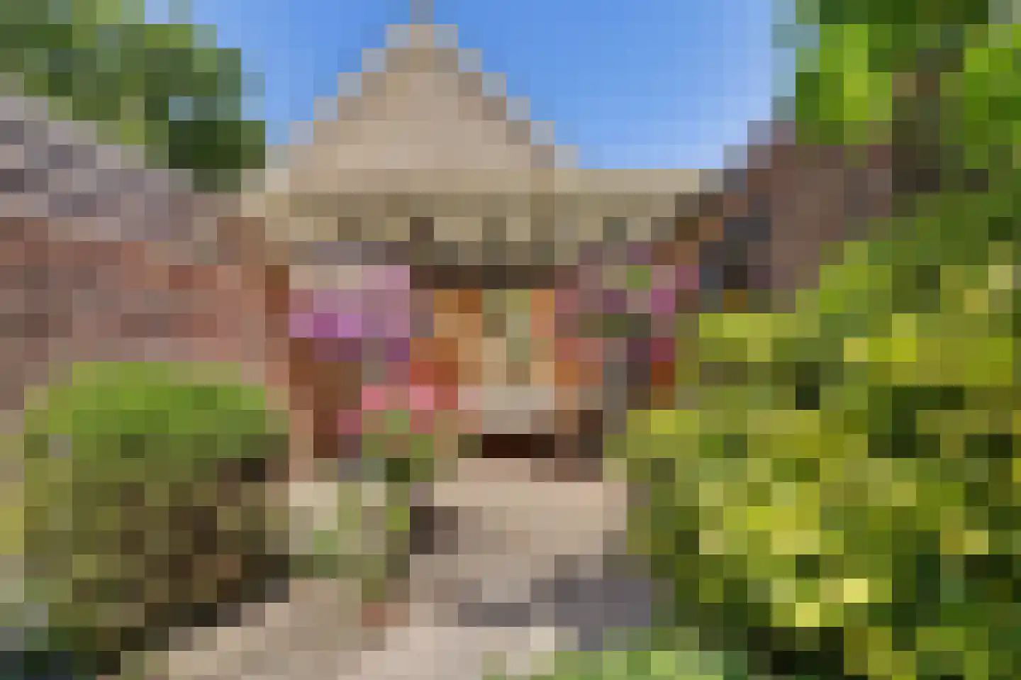 Korte Kruisweg 18 Maasdijk thumbnail 31