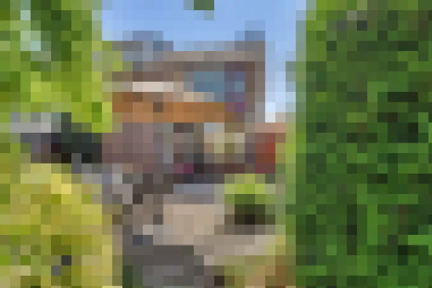 Korte Kruisweg 18 Maasdijk thumbnail 33