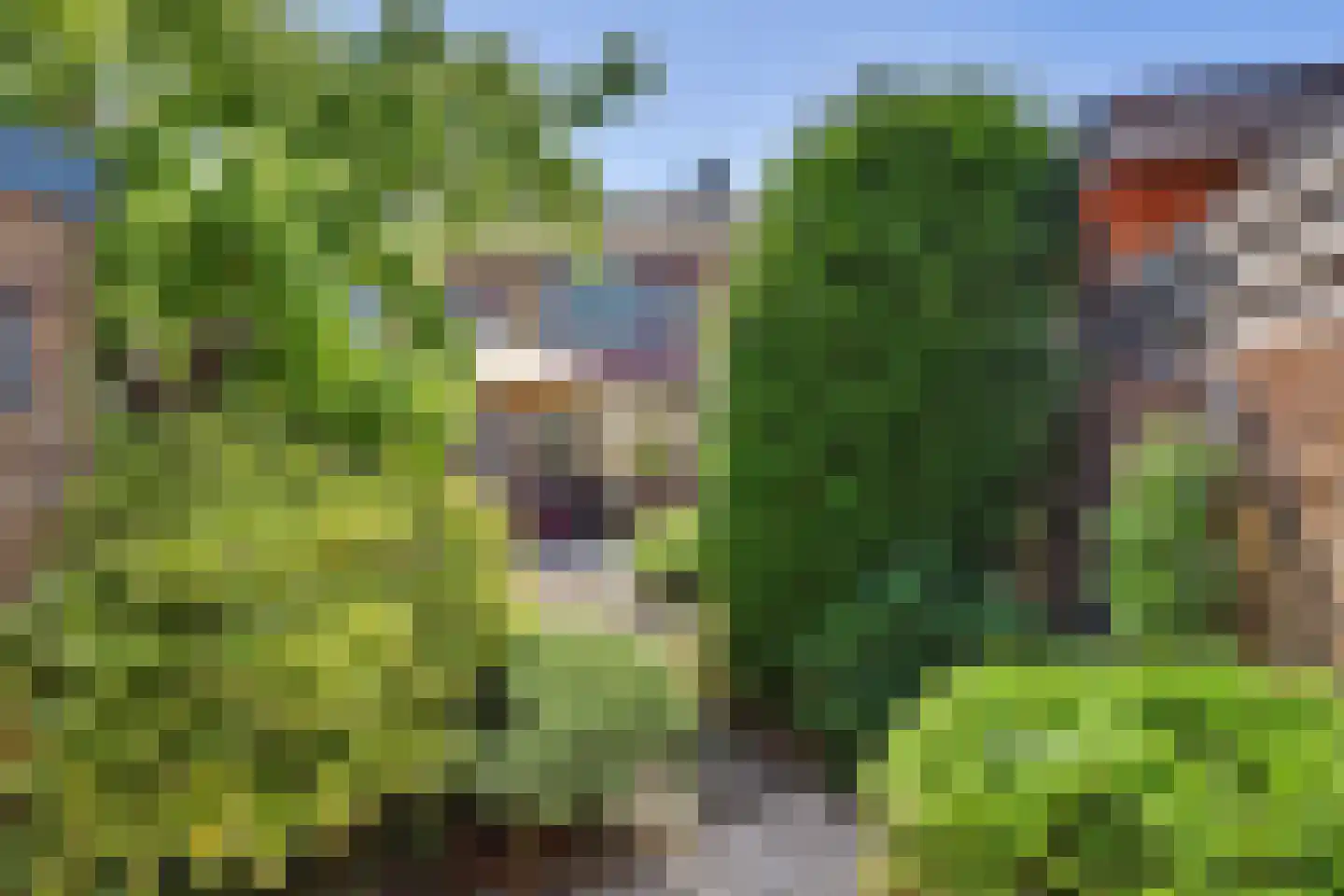 Korte Kruisweg 18 Maasdijk thumbnail 34