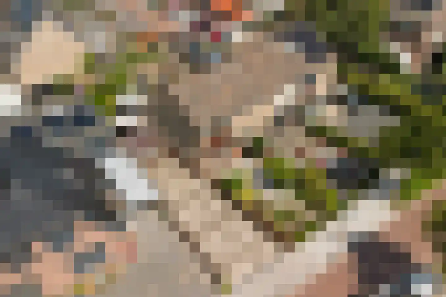 Korte Kruisweg 18 Maasdijk thumbnail 39