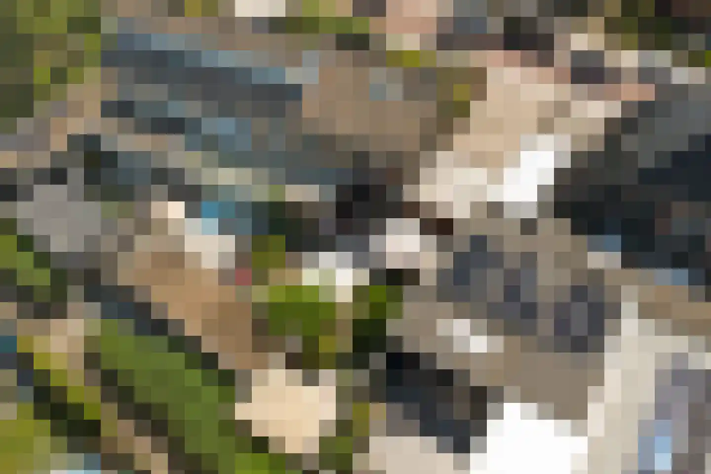 Korte Kruisweg 18 Maasdijk thumbnail 40