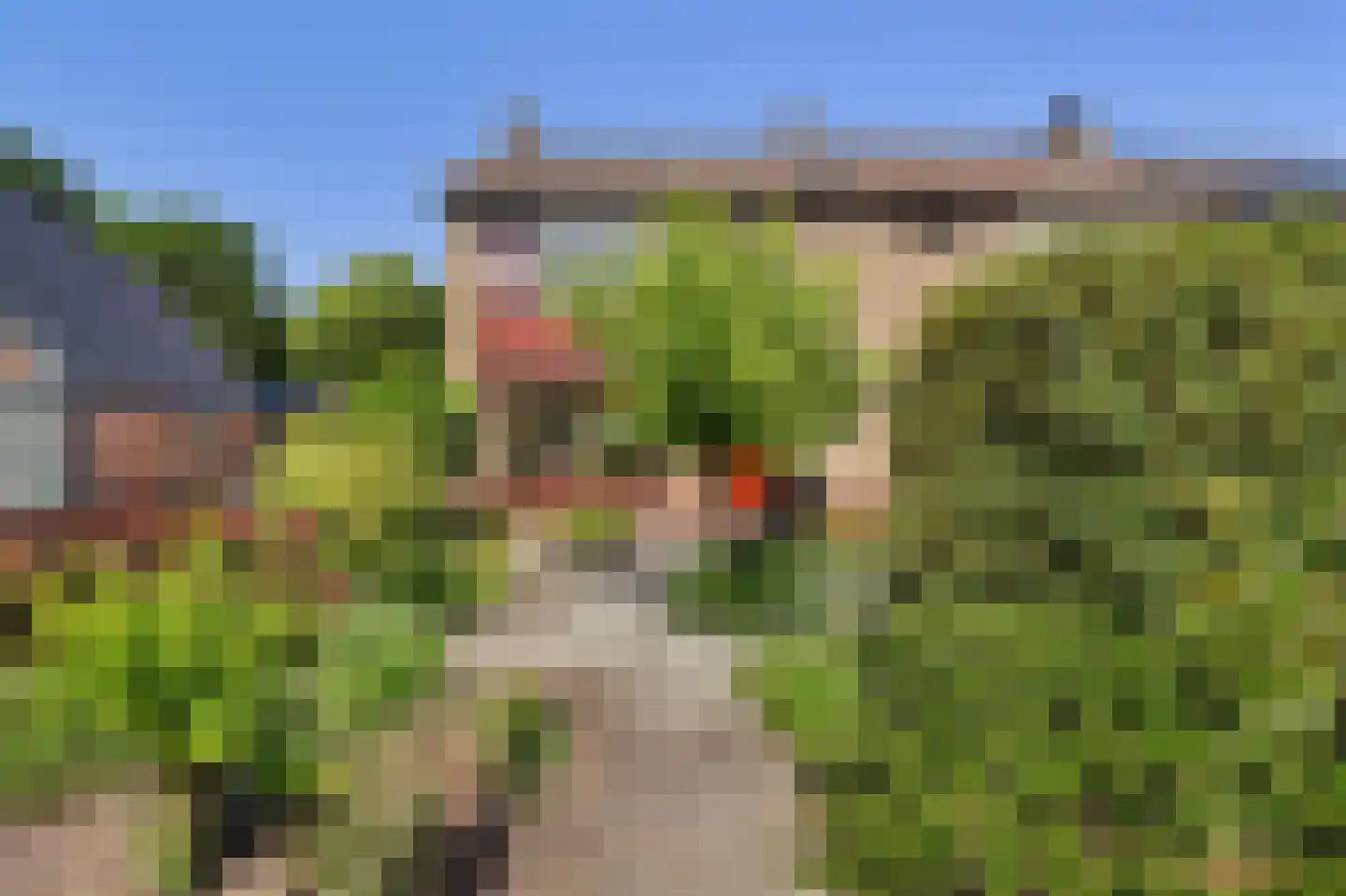 Korte Kruisweg 18 Maasdijk thumbnail 48