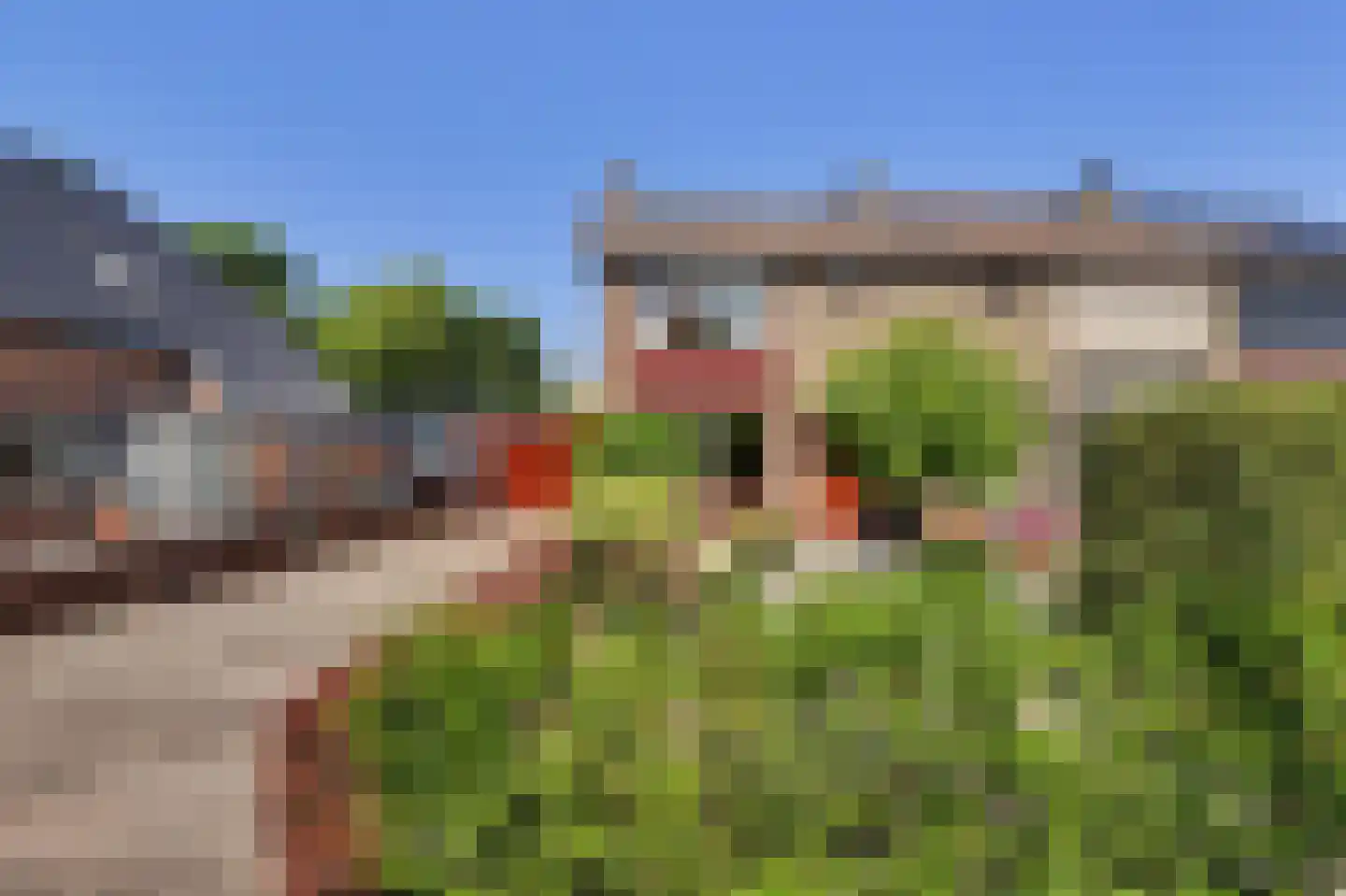 Korte Kruisweg 18 Maasdijk thumbnail 49