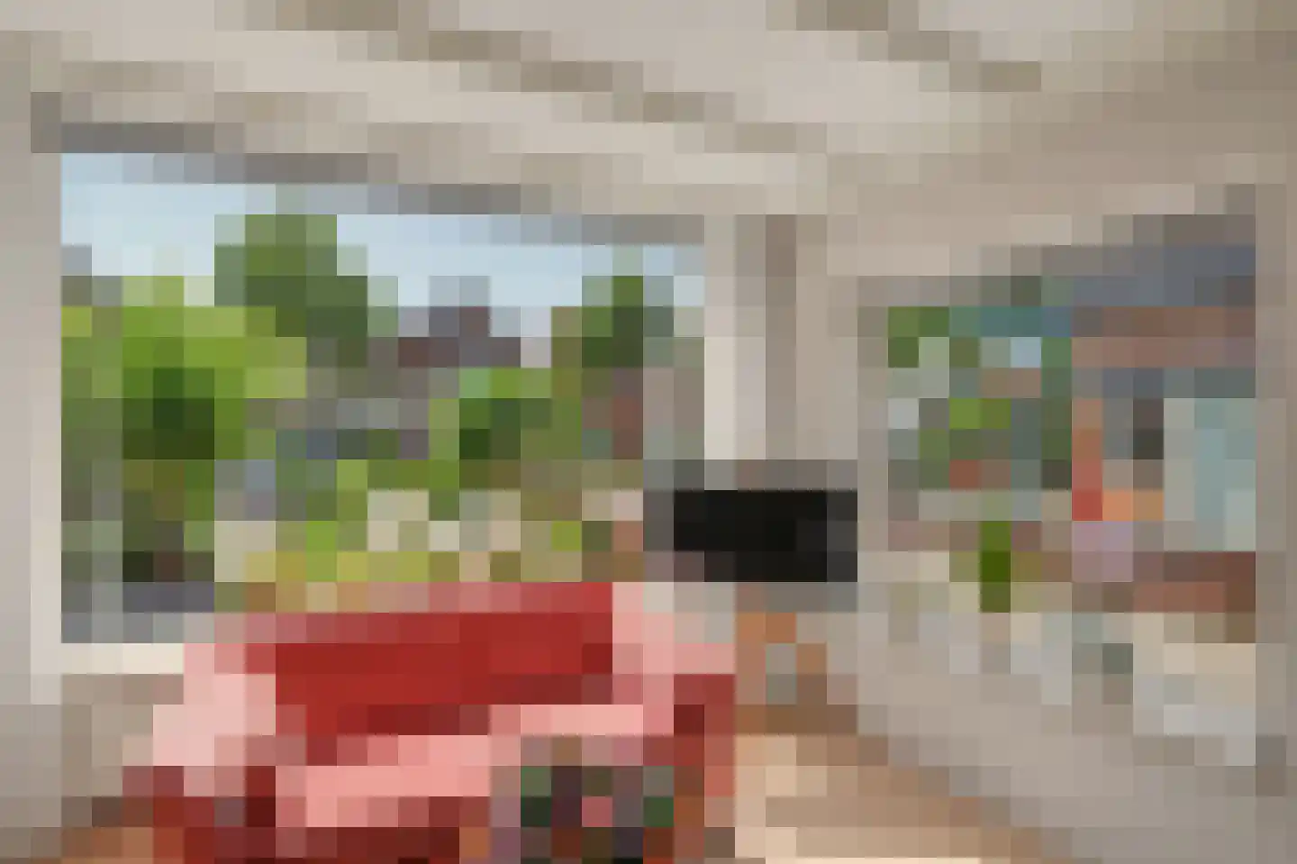 Korte Kruisweg 18 Maasdijk thumbnail 6