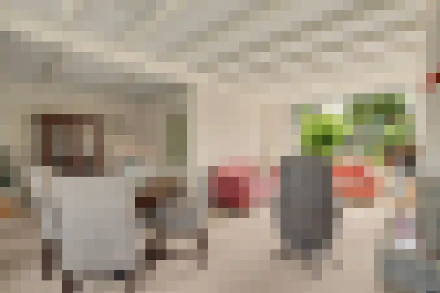 Korte Kruisweg 18 Maasdijk thumbnail 7