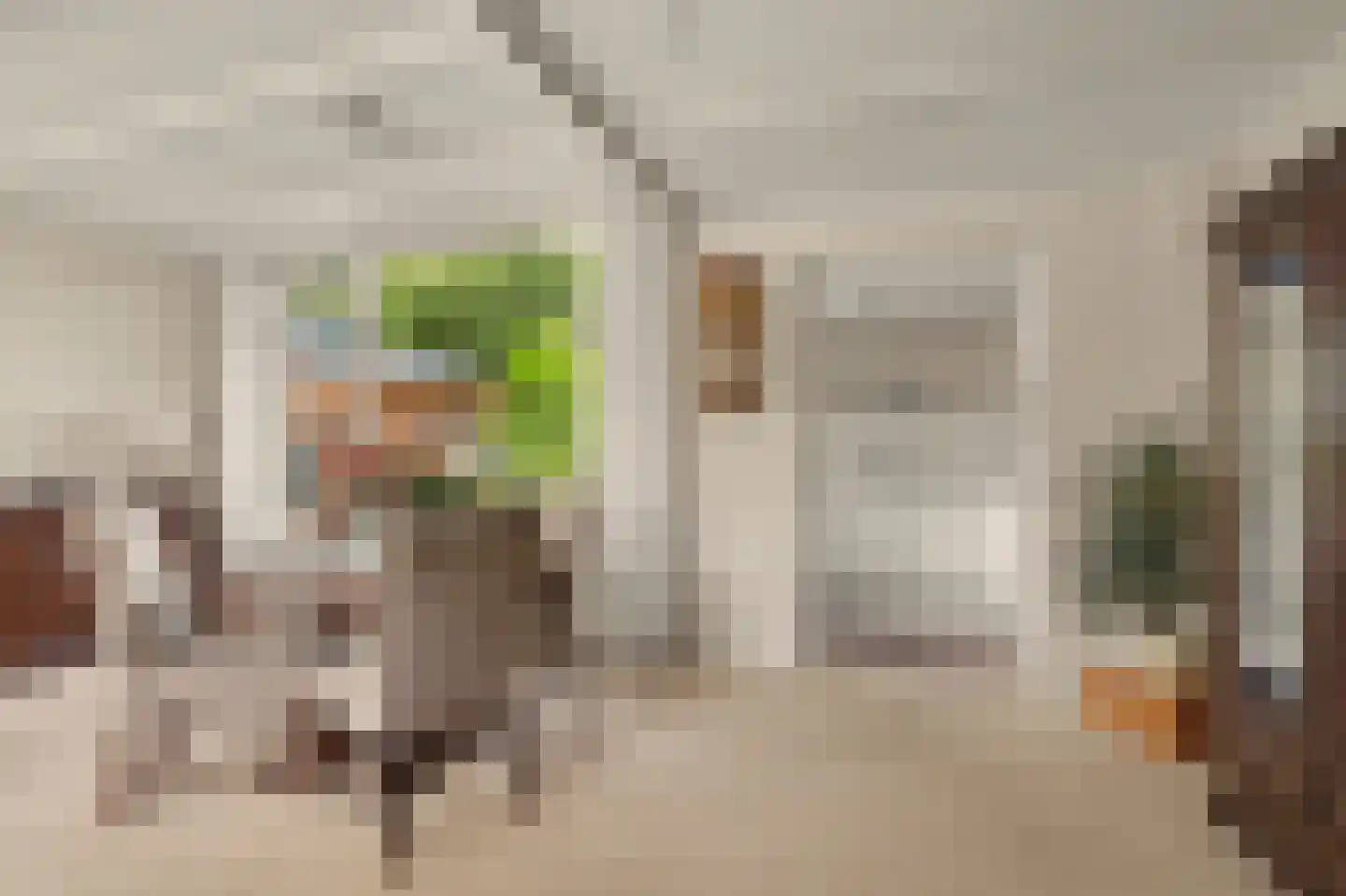 Korte Kruisweg 18 Maasdijk thumbnail 9