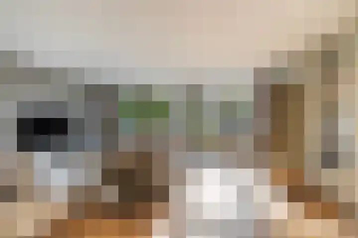 Korte Kruisweg 19 Maasdijk thumbnail 13