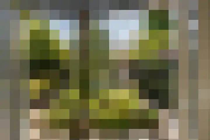 Korte Kruisweg 19 Maasdijk thumbnail 14
