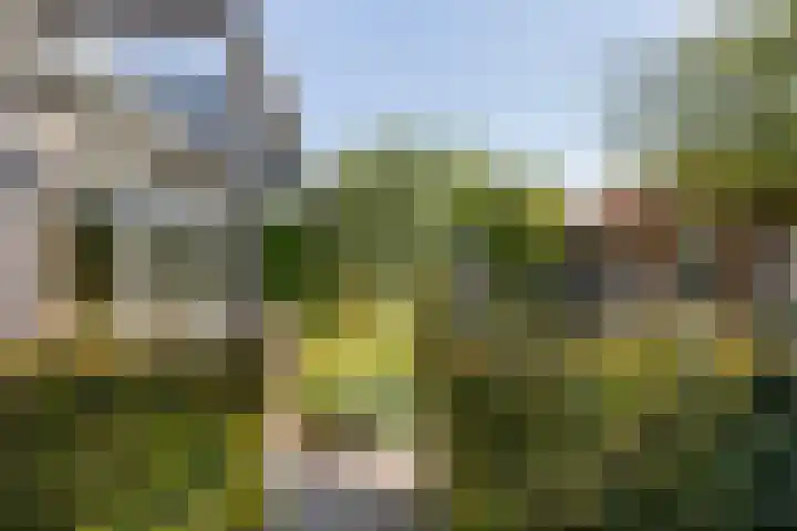 Korte Kruisweg 19 Maasdijk thumbnail 15