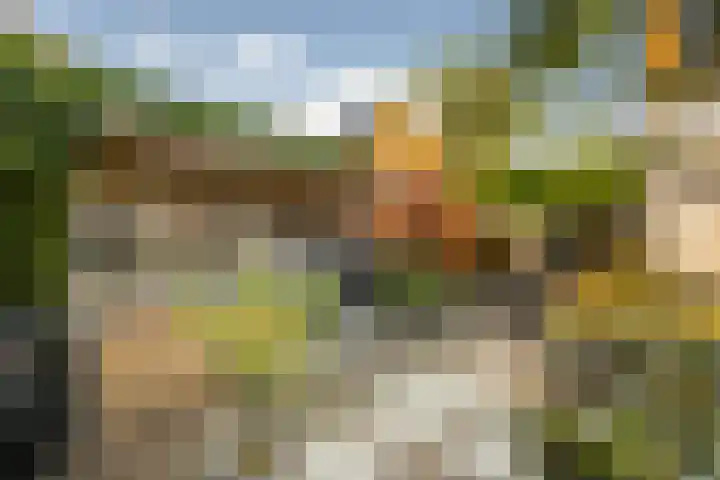 Korte Kruisweg 19 Maasdijk thumbnail 16