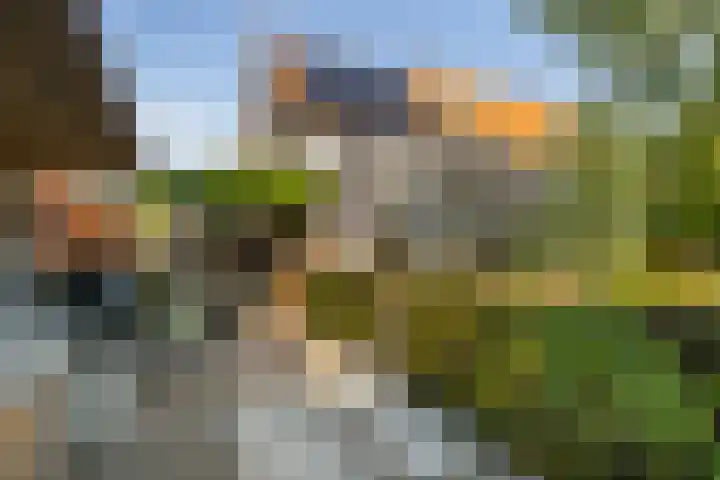 Korte Kruisweg 19 Maasdijk thumbnail 17
